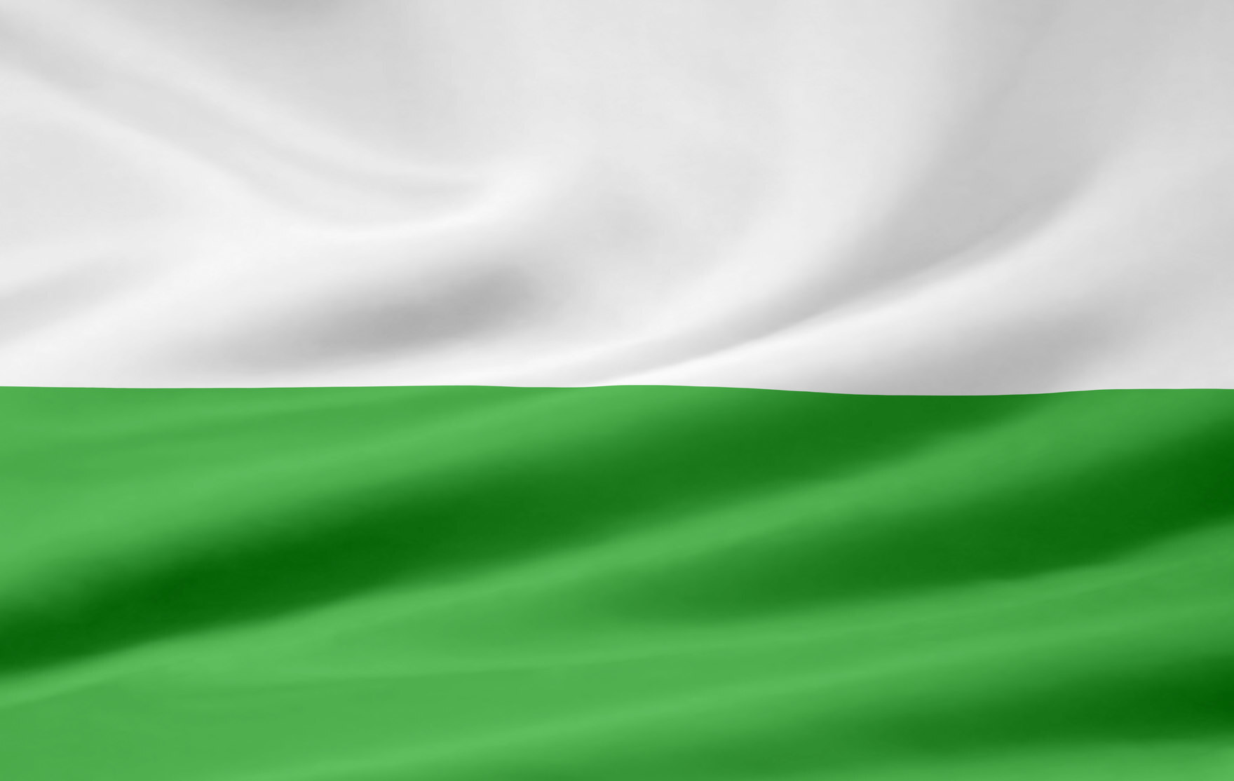 Eine Flagge in den Farben grün und weiß.